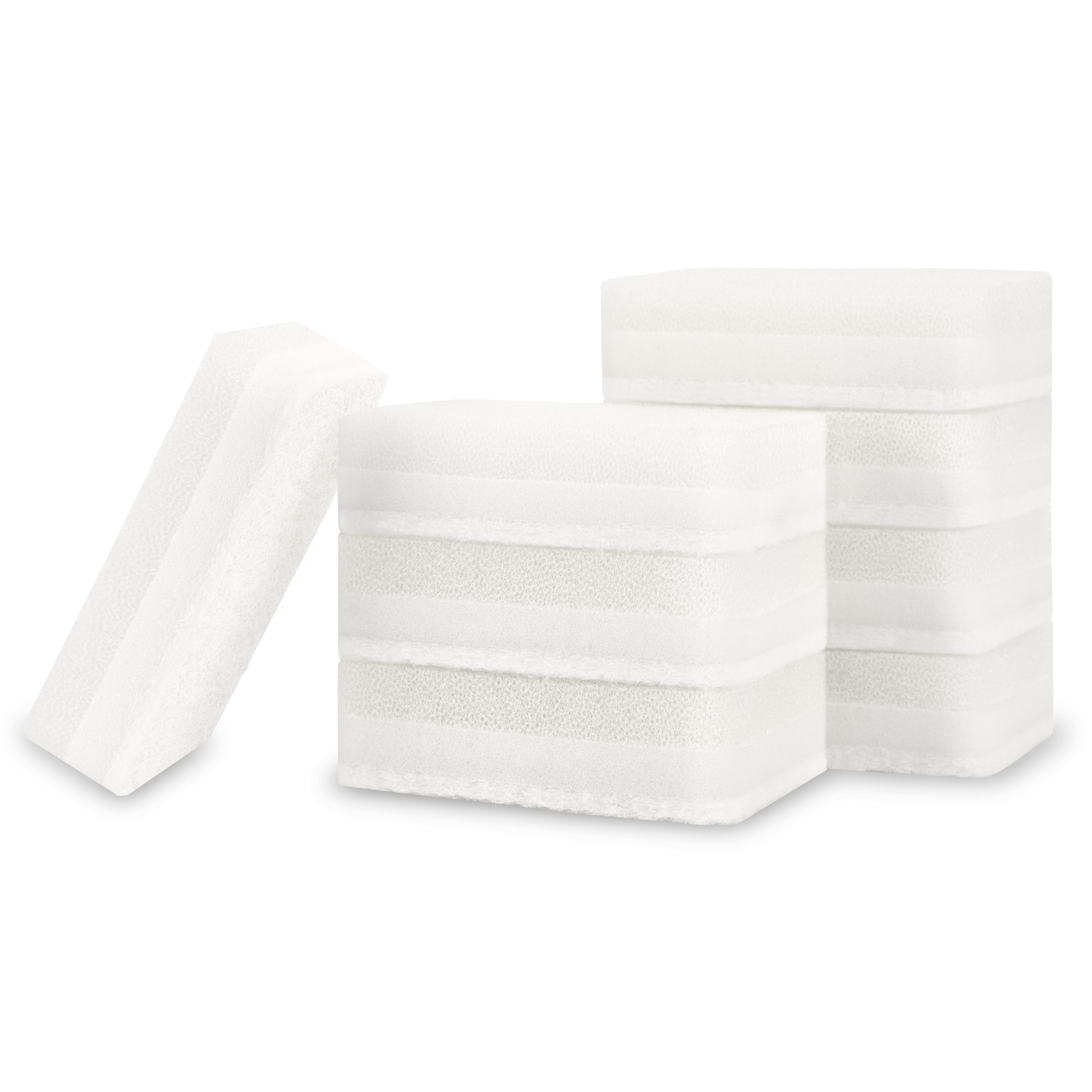 dish sponges