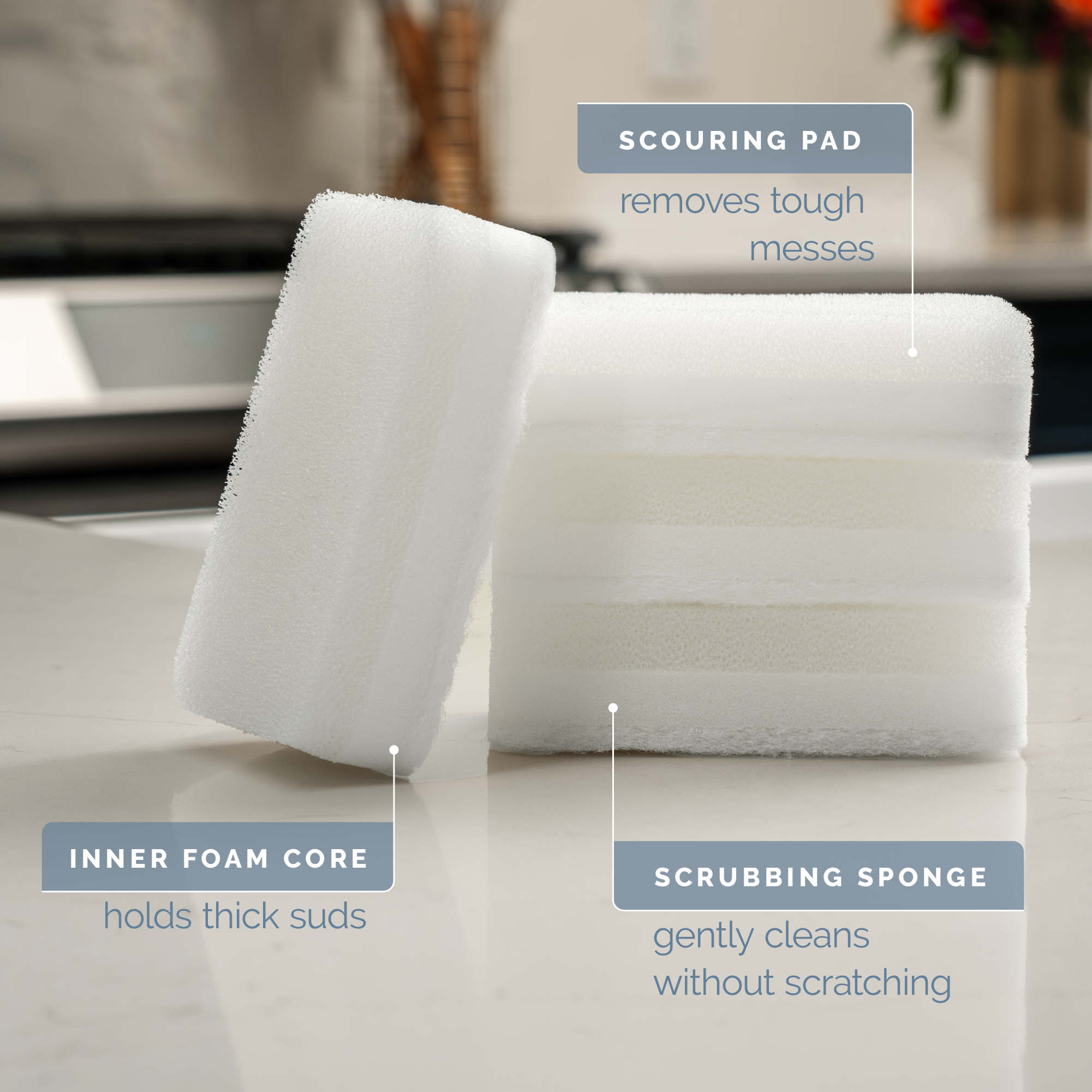 dish sponges
