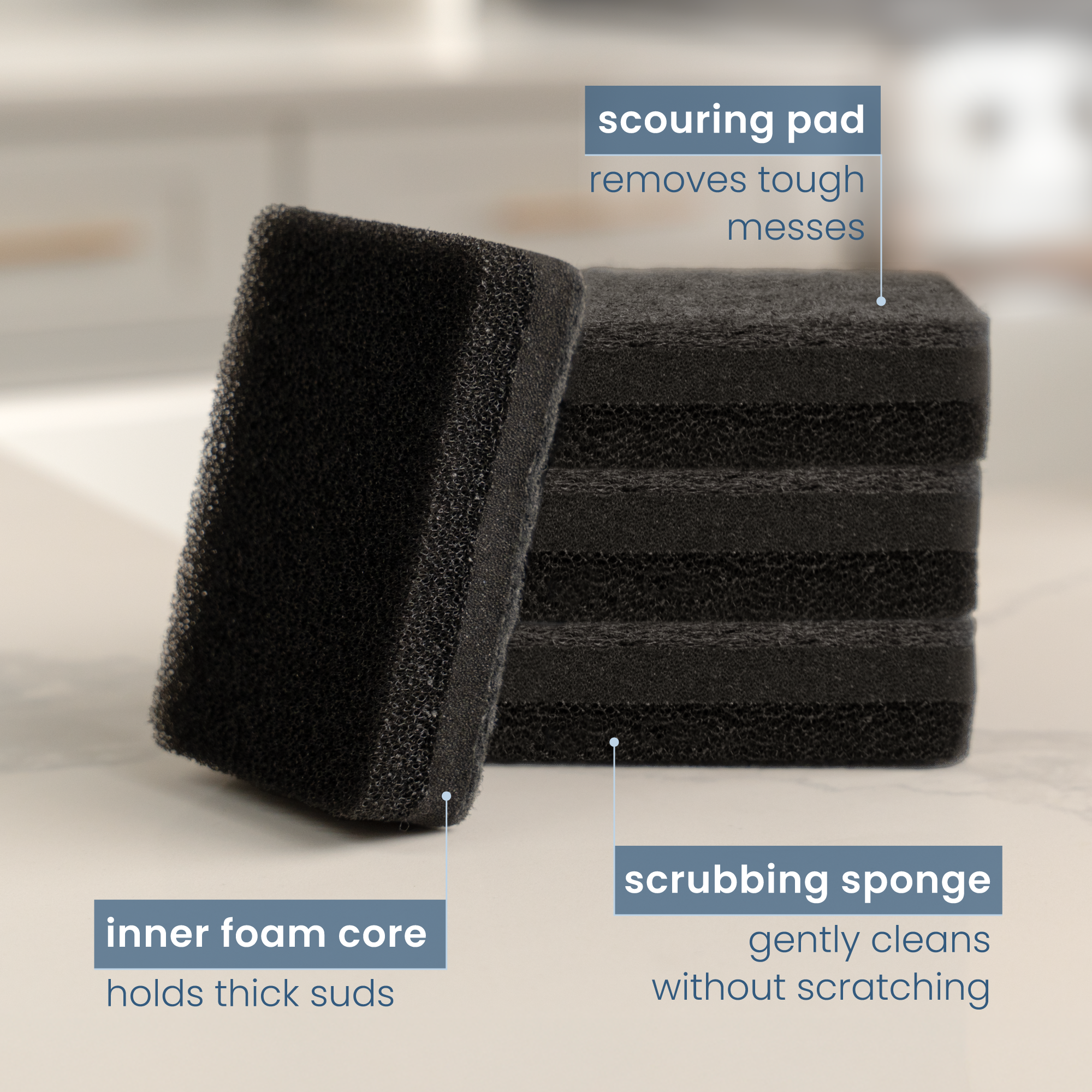 dish sponges