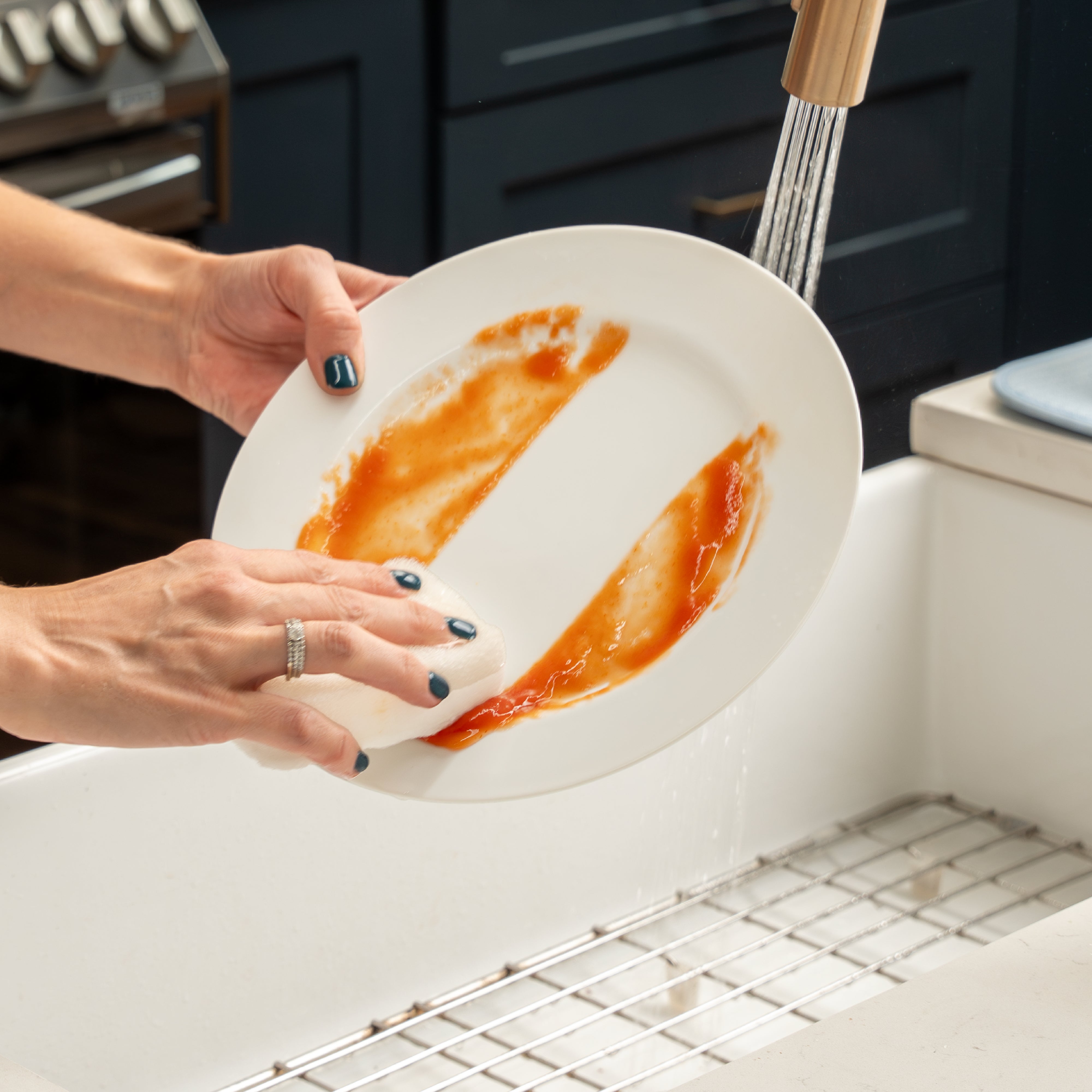 dish sponges